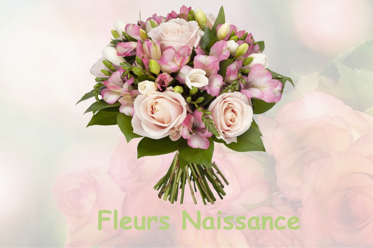 fleurs naissance SAINT-PIERRE-DU-CHAMP
