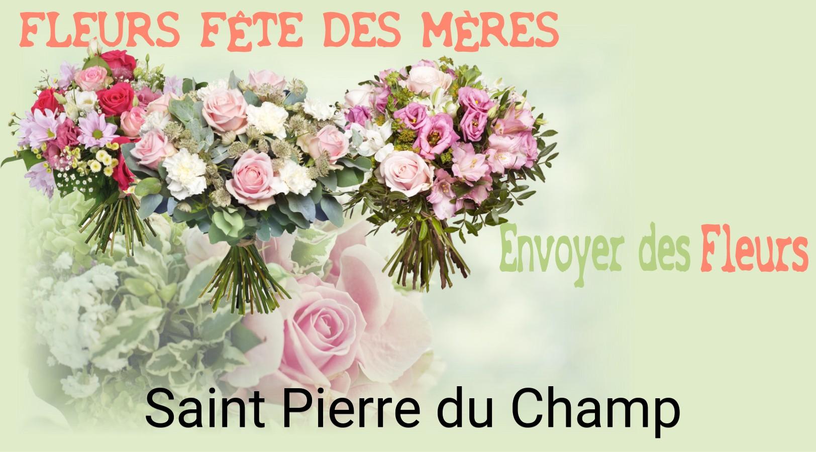 Bouquet de Fête des Mères livré à Saint-Pierre-du-Champ
